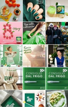 instagram marketing activia 2.jpg