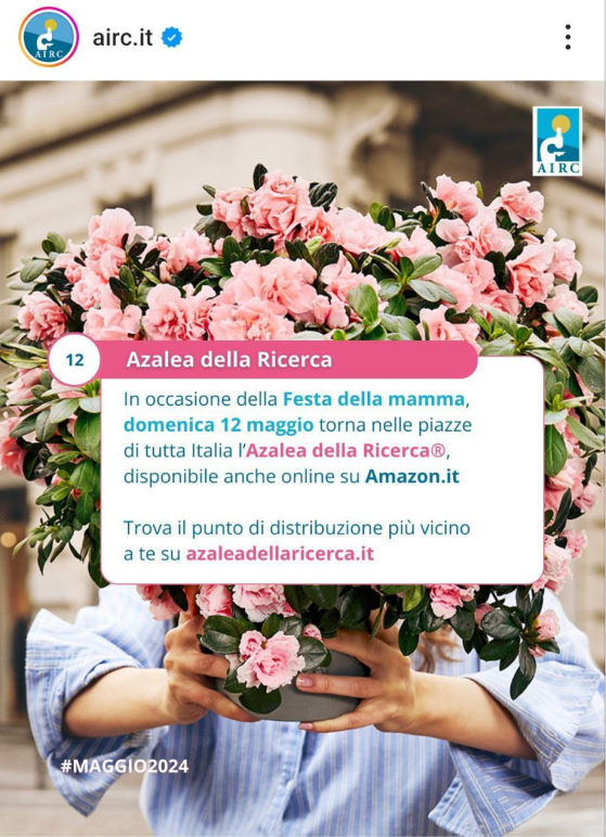 Airc- azalea festa della mamma - piazze