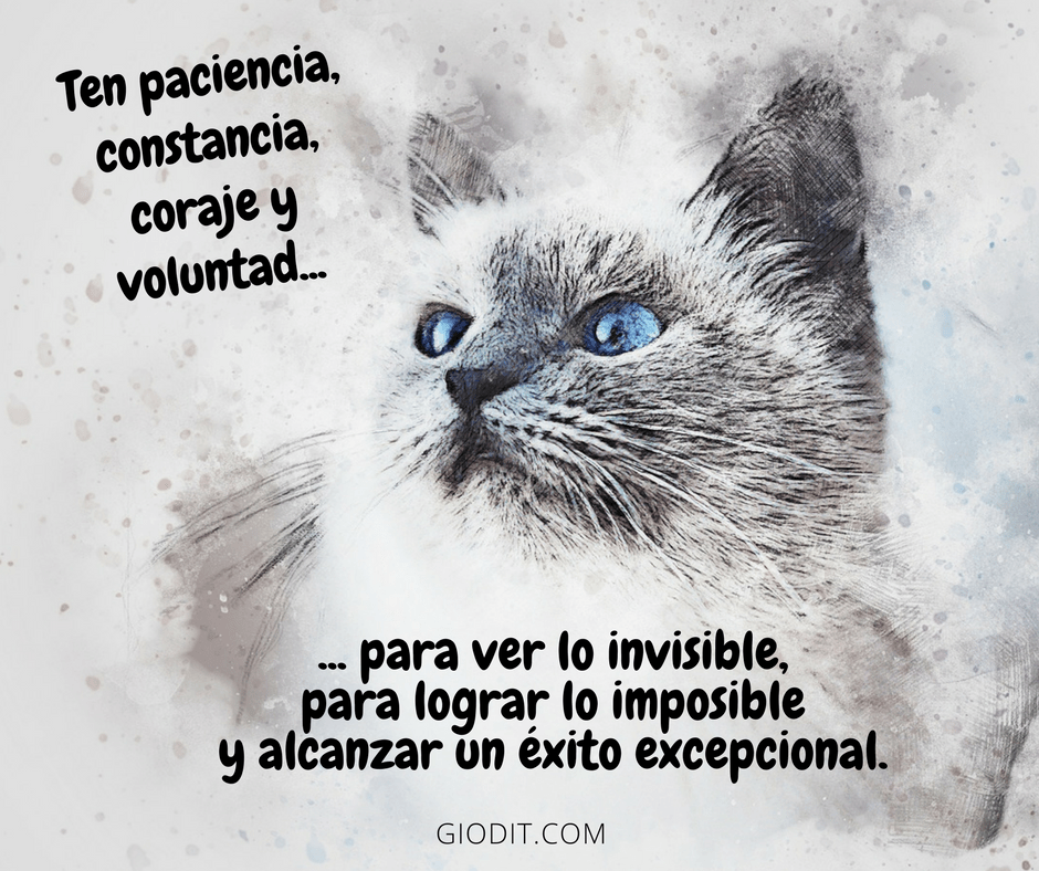 un anno di GioDiT.png