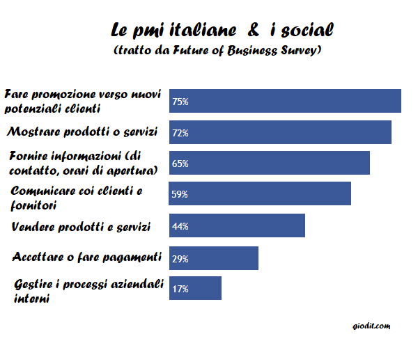 Le pmi italiane e i social: Future of Business Survey