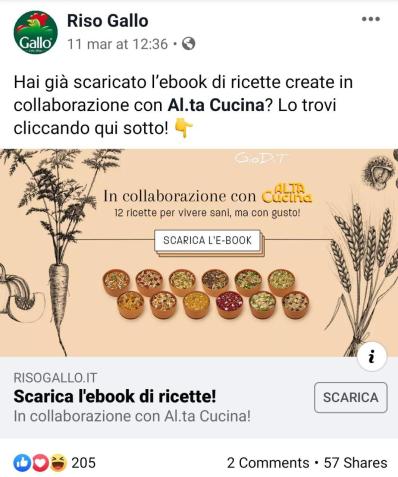 riso Gallo _comunicare nell emergenza