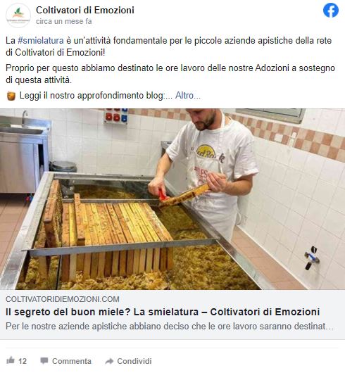 L’innovativa piattaforma di social farming: Coltivatori di Emozioni [Intervista]