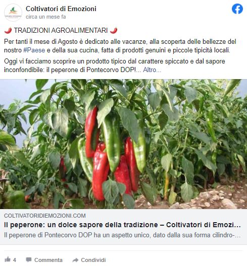 L’innovativa piattaforma di social farming: Coltivatori di Emozioni [Intervista]
