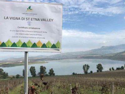 L’innovativa piattaforma di social farming: Coltivatori di Emozioni [Intervista]