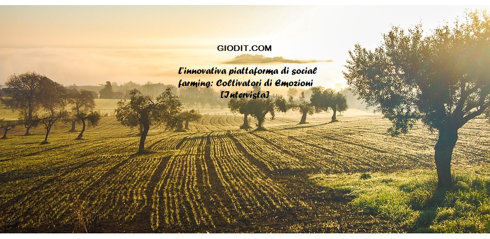 L’innovativa piattaforma di social farming: Coltivatori di Emozioni&nbsp;[Intervista]