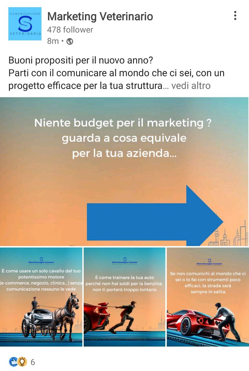 marketing veterinario budget