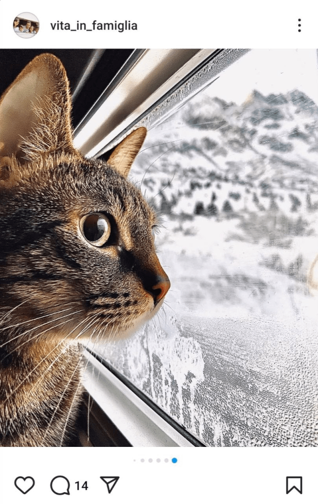 Viaggi in Famiglia  travel blog lifestyle